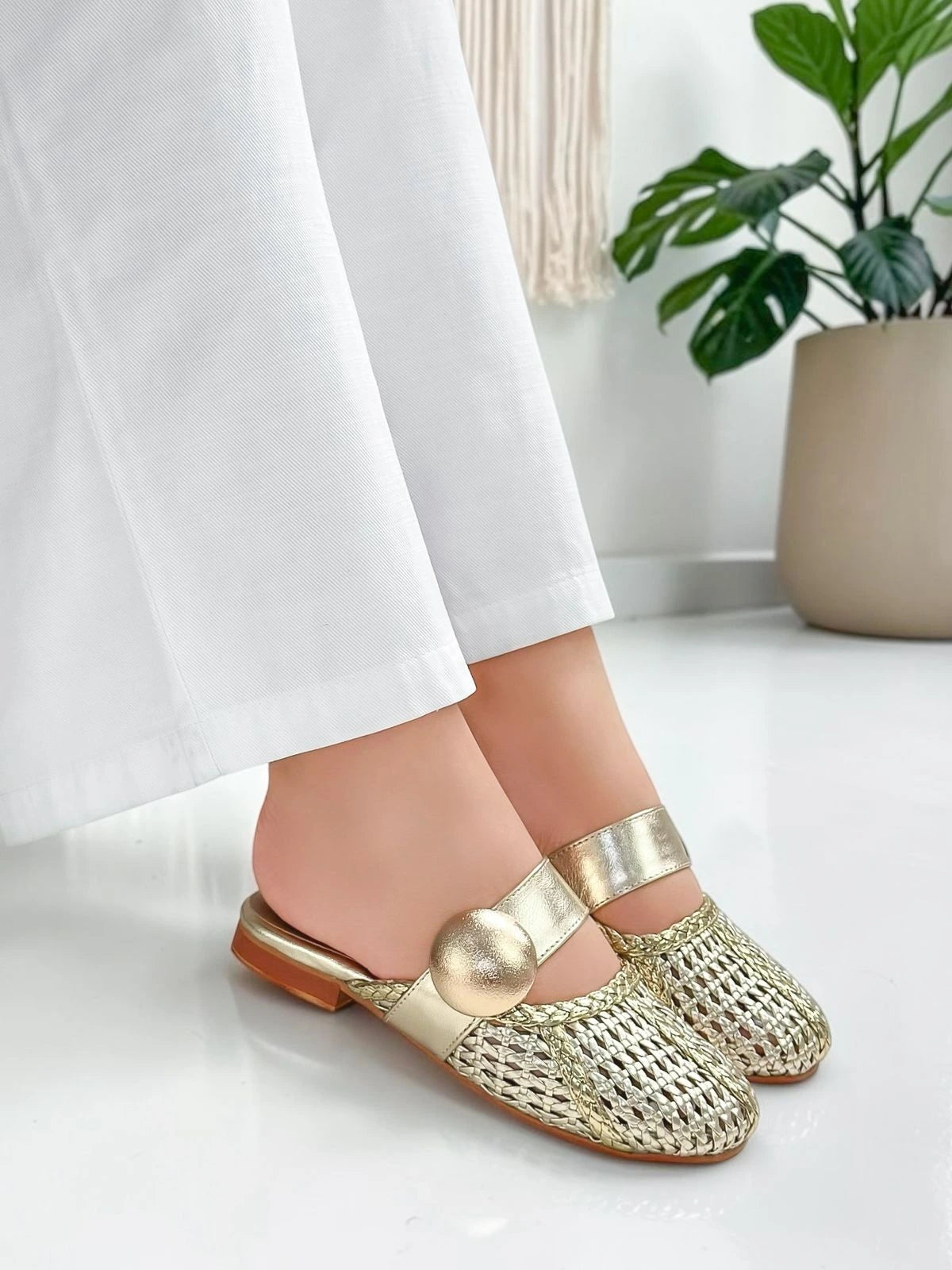 VERONICA FLATS